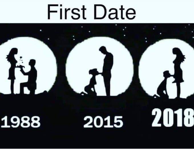 50992504_546269595880644_3601020479273435136_n