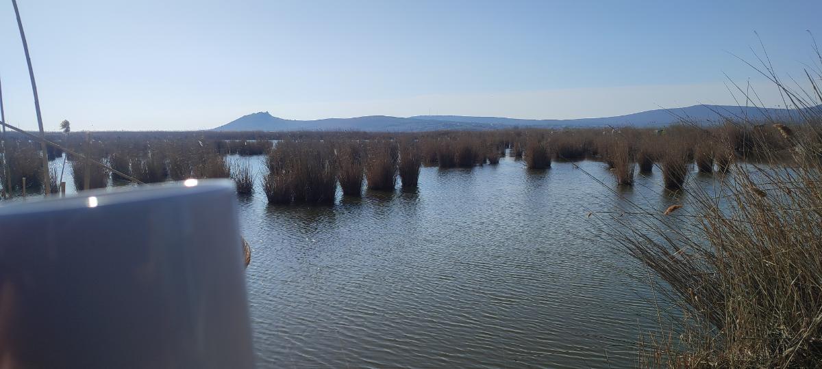 411341fd-4ad1-4337-9d5b-fa1010b89e94