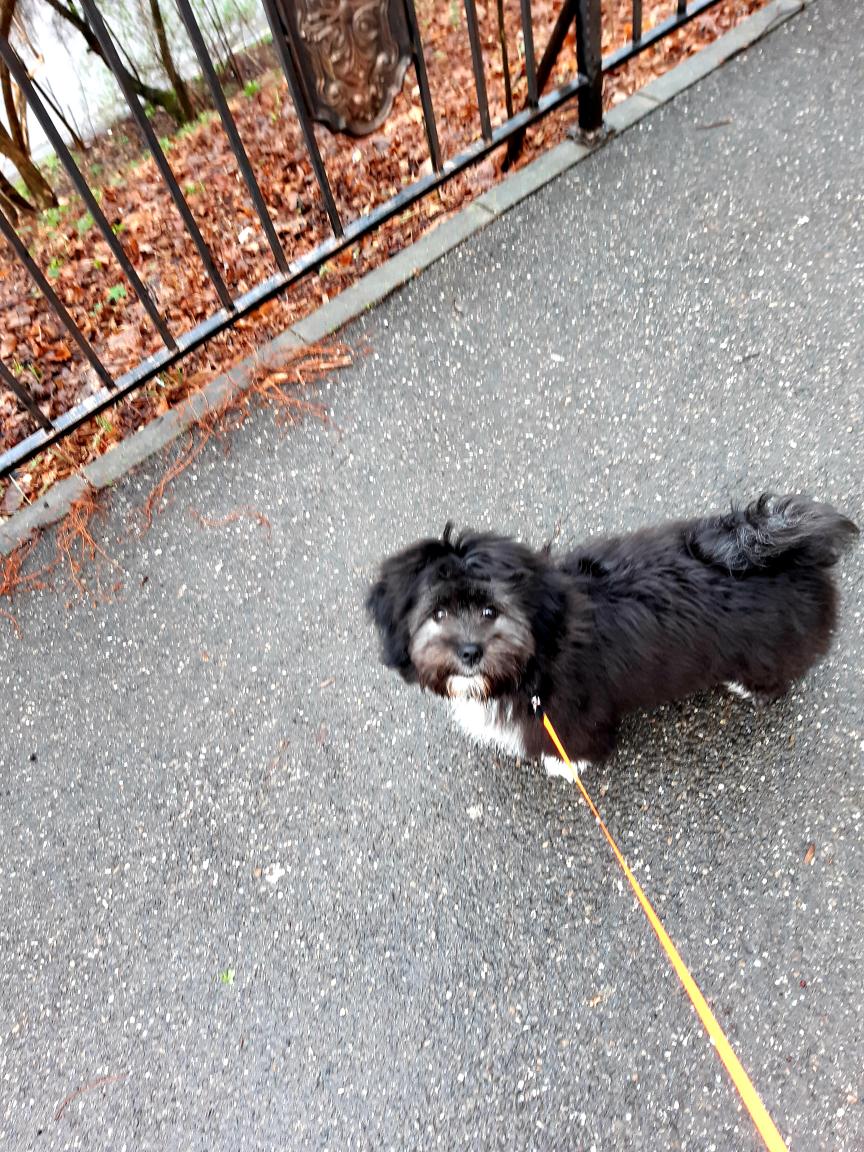 655f8e47-552b-4471-a32c-0a625354a646