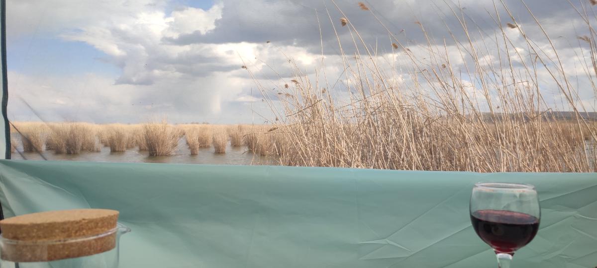 b84bcae3-9592-4d8d-ad6c-50a66ecae756