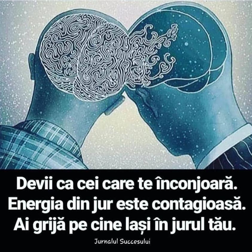 241687923_398095978343178_9147479707251178213_n