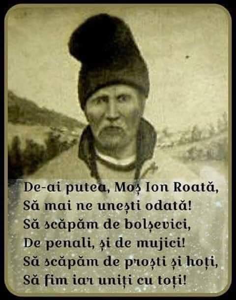 3c09f781-837d-424f-81b7-2e800d70a7e7