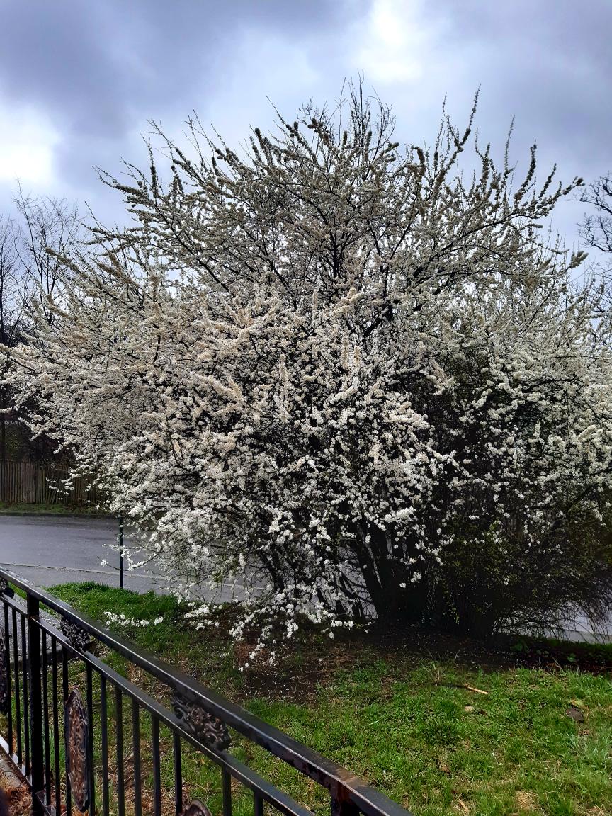 0ac17693-6a87-46b5-8b59-86e46dbcf10f