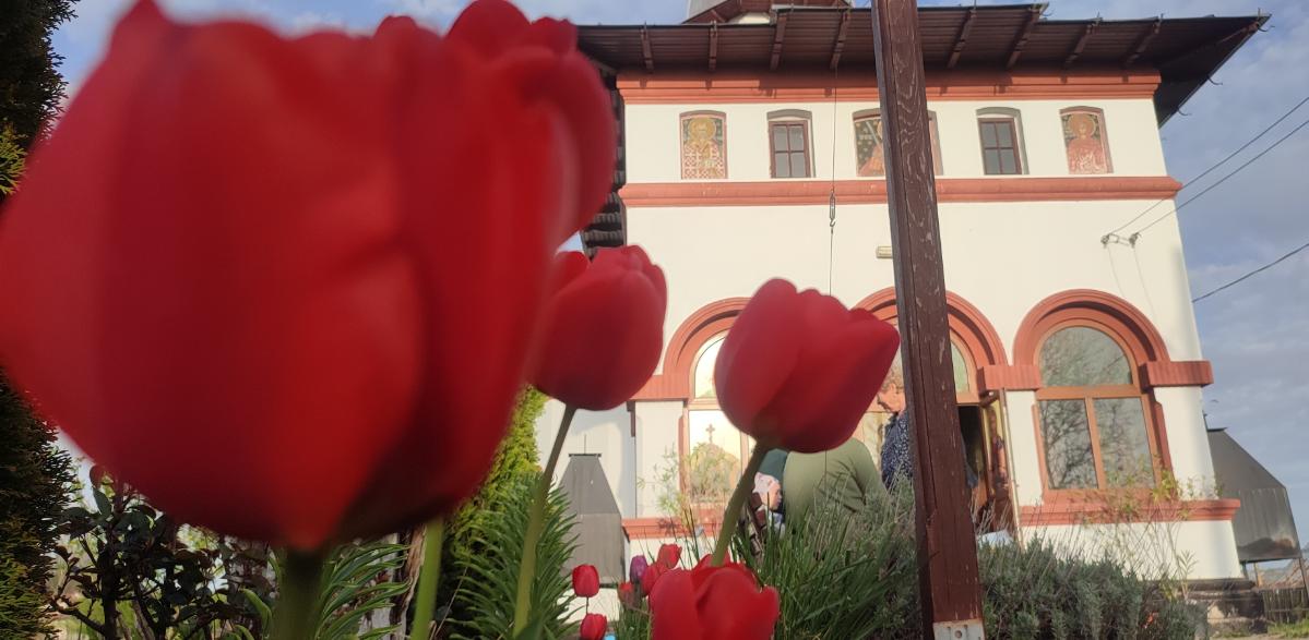 c2e9c411-8a7e-4fe0-955f-def87ea90617