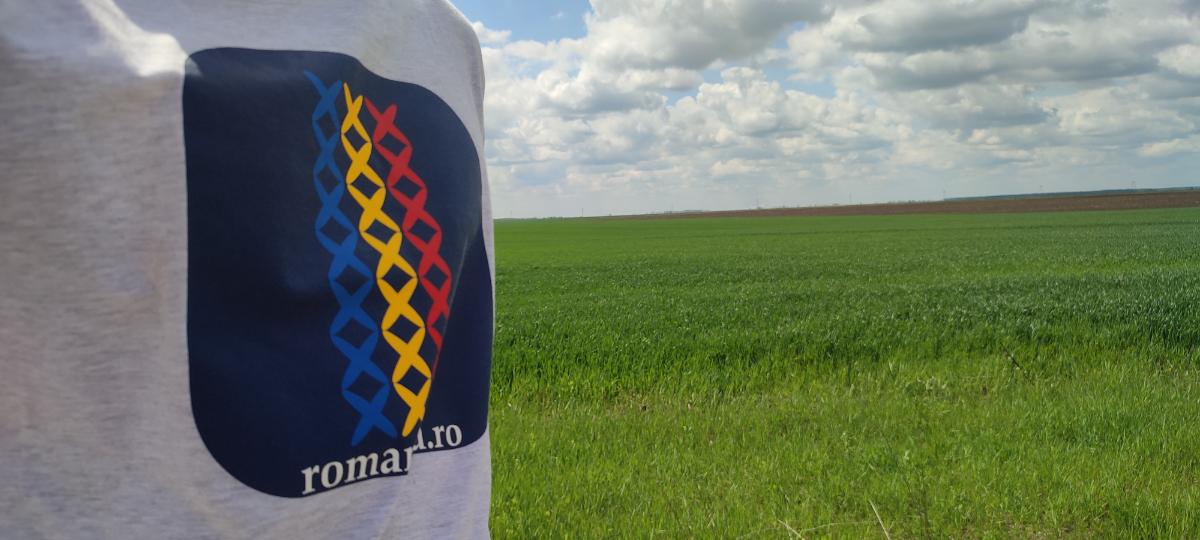 e5daf1ca-7f84-472f-b026-5b8458b5fe8b