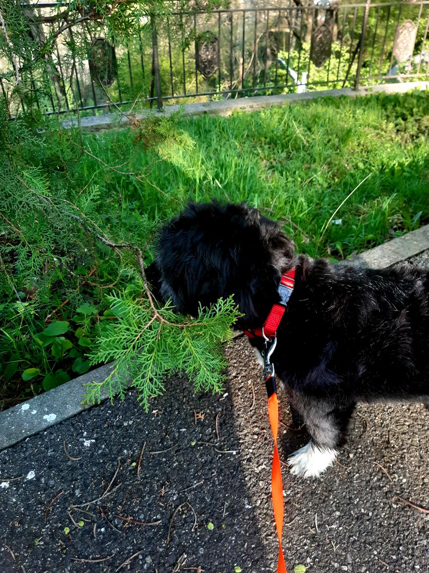 0836350c-96cb-4b4d-8e5c-4797802842b6