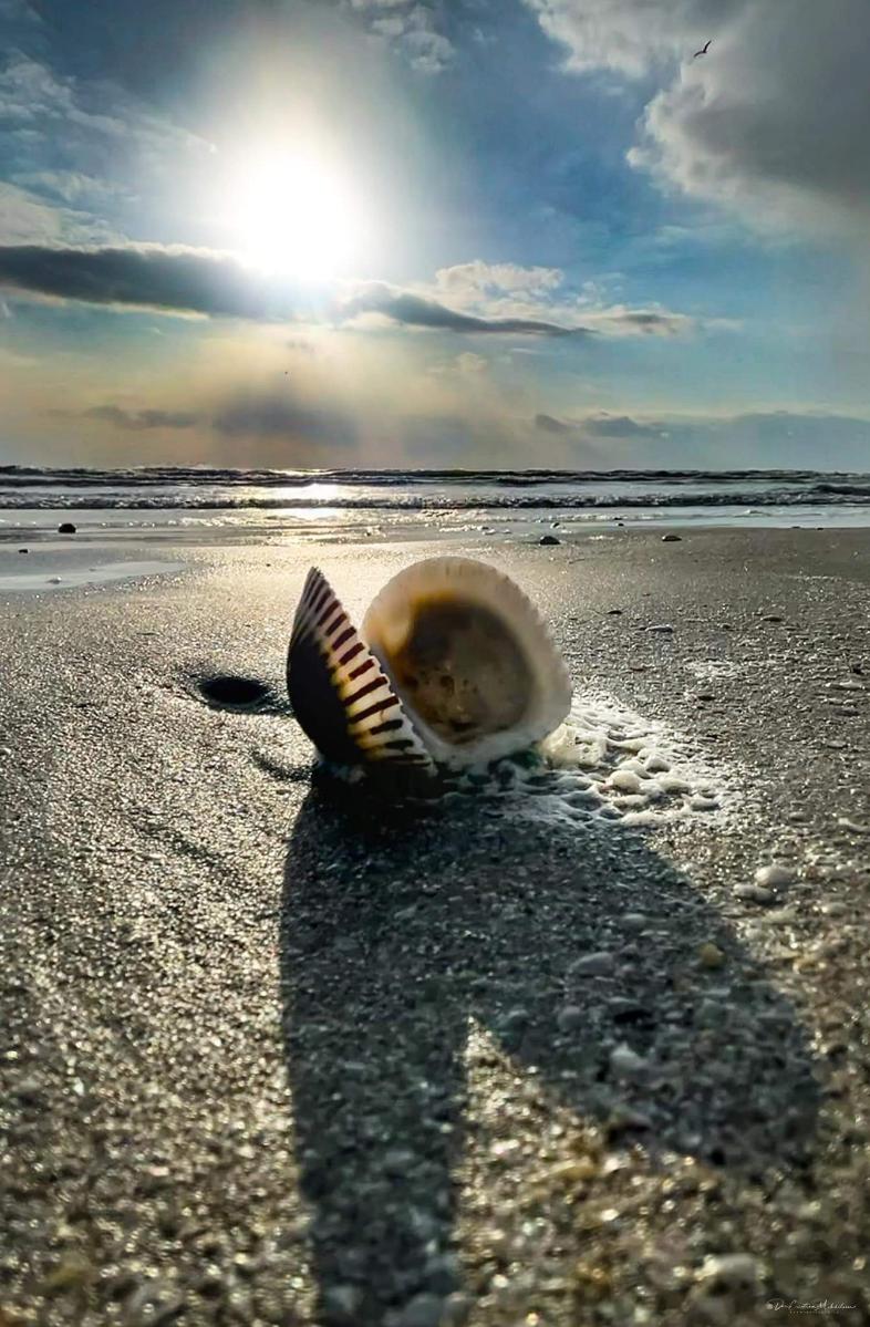 d79b06c7-5592-4797-8993-453dc73b720e