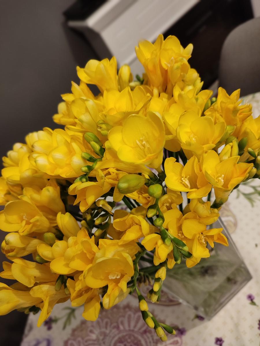 83deebc1-b57b-4f93-a0a6-3a4622c3ad2c