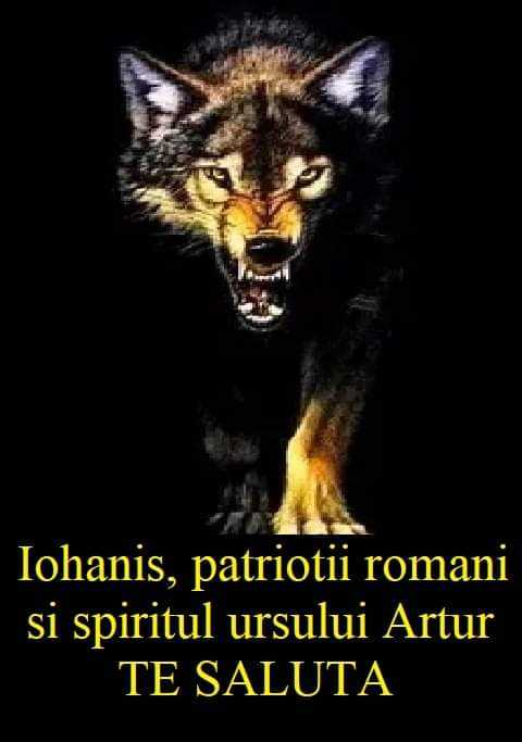 e4e29ccc-886f-4a13-9b11-5fdb622efa01