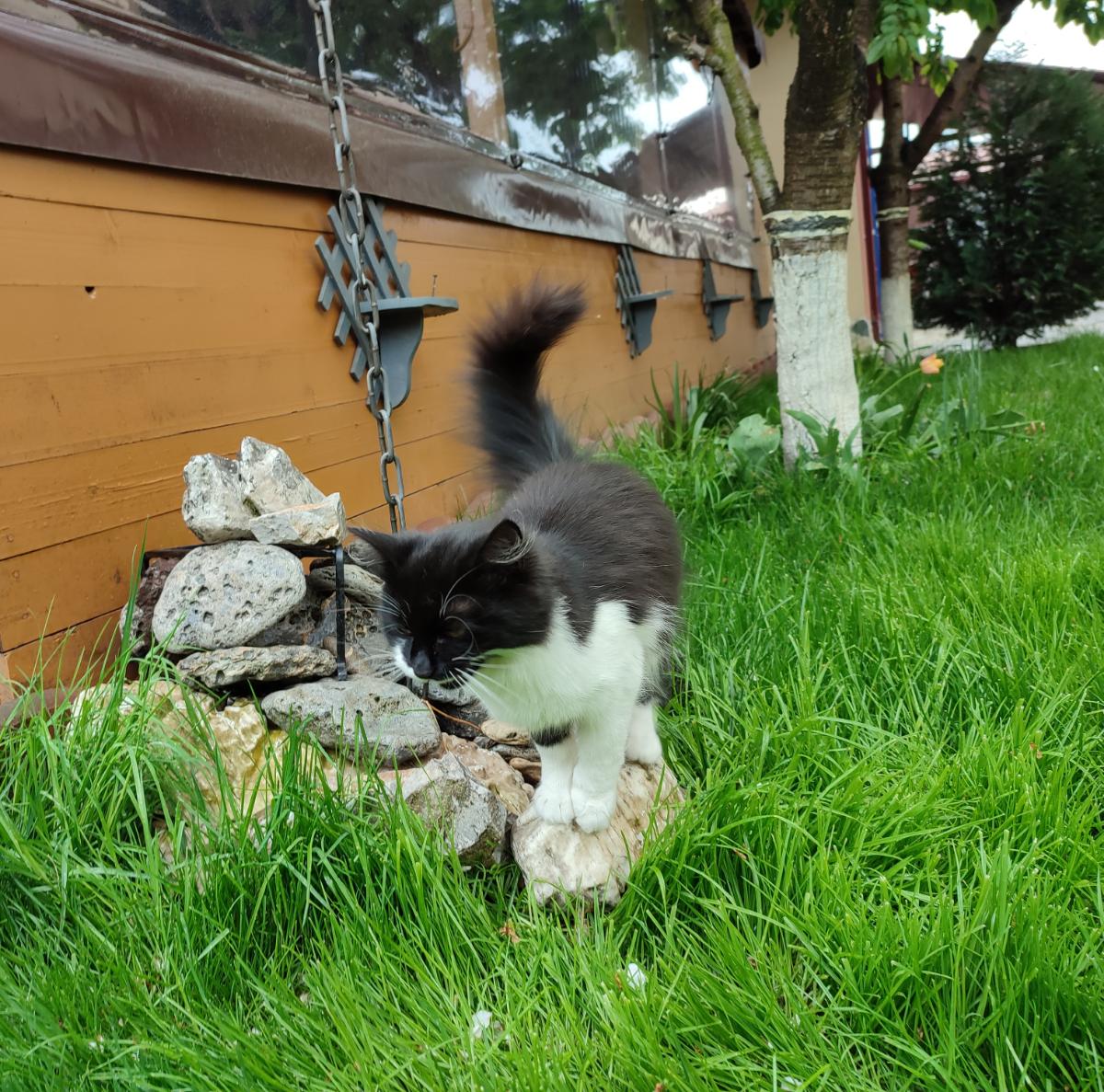 4610379e-be09-441a-b3b6-aa67903f3507