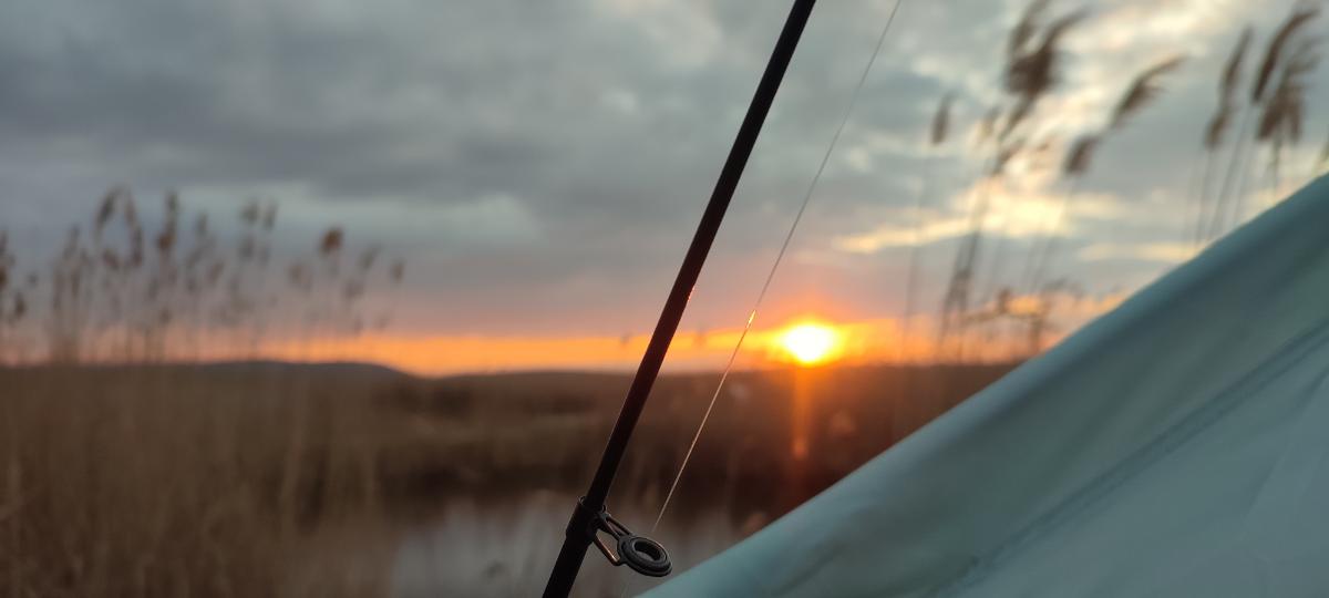 db70c0e9-faa9-4899-80ff-856f44e9a77a