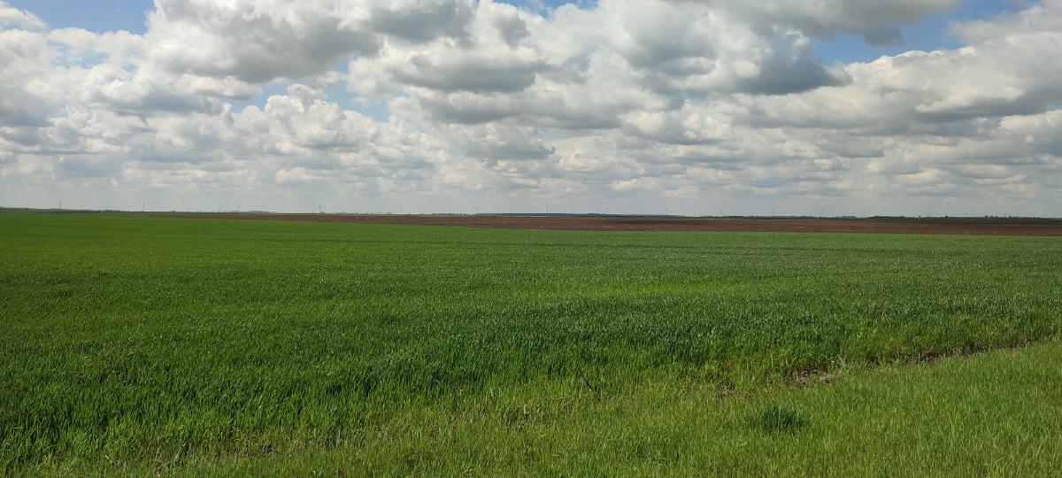 dbc3ecc1-1aae-47e2-bff9-c3aec30f56b4