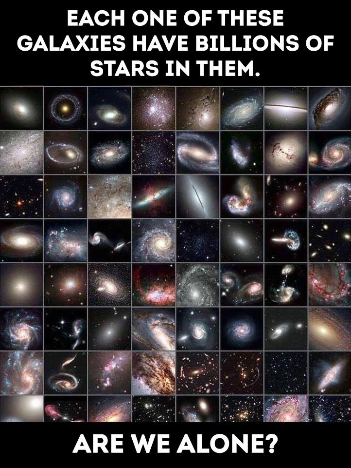 30222185_1543809549060860_6716404229920359016_n