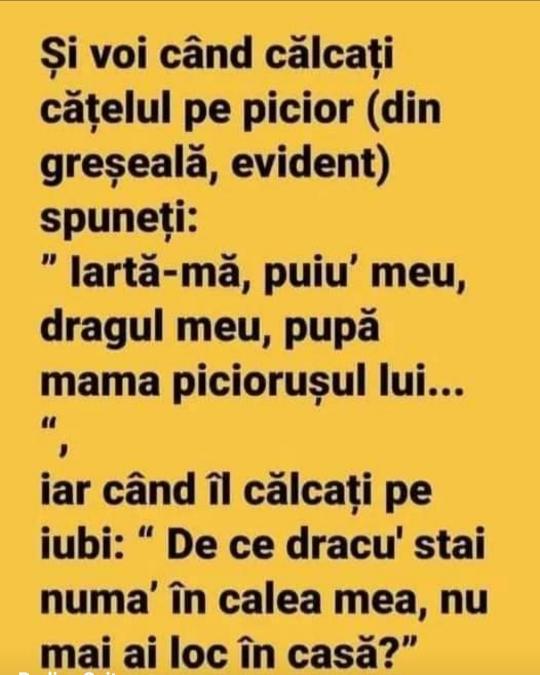 d5cf00c1-42ab-4d27-8fb1-2e507da14471