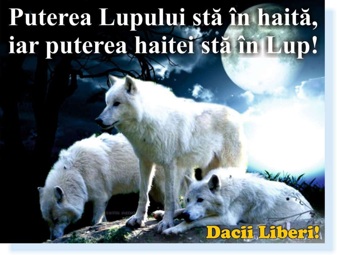 d457ac04-34e1-460d-8f8c-025ad1a6e2ea