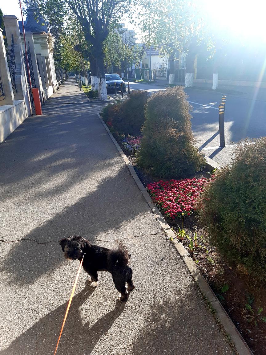 a8f5dc67-2fda-4933-8e2e-af83ee5aafe4