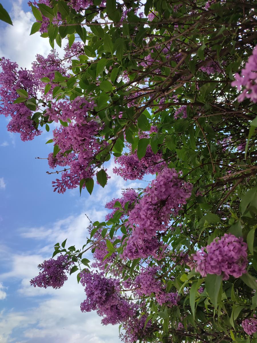 752b697d-e0c5-46c5-9d41-9bc3995ace0c