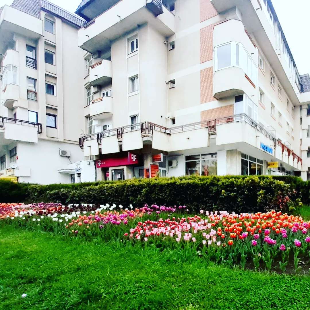 51df49f8-a96e-49f0-96b0-03f15193c5e4