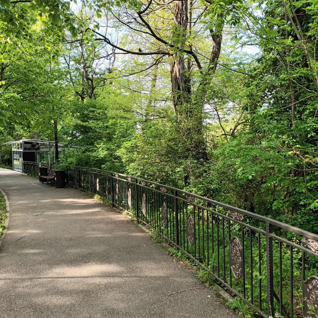 c5ff0f9b-1ee4-49d2-ab7d-835353f8b4ab