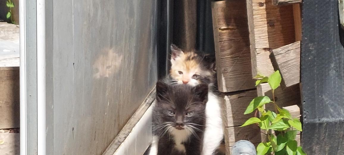 86e98ba7-82af-4e11-9e48-5c0df945ef24