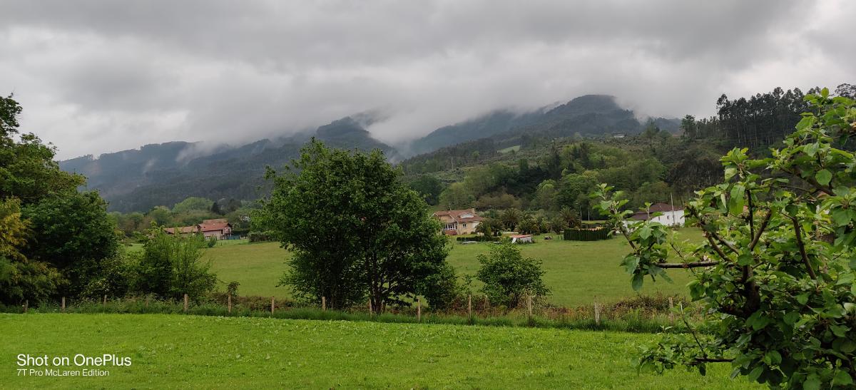 c1a41f64-09f2-44b9-a634-b1cf3a0562f7