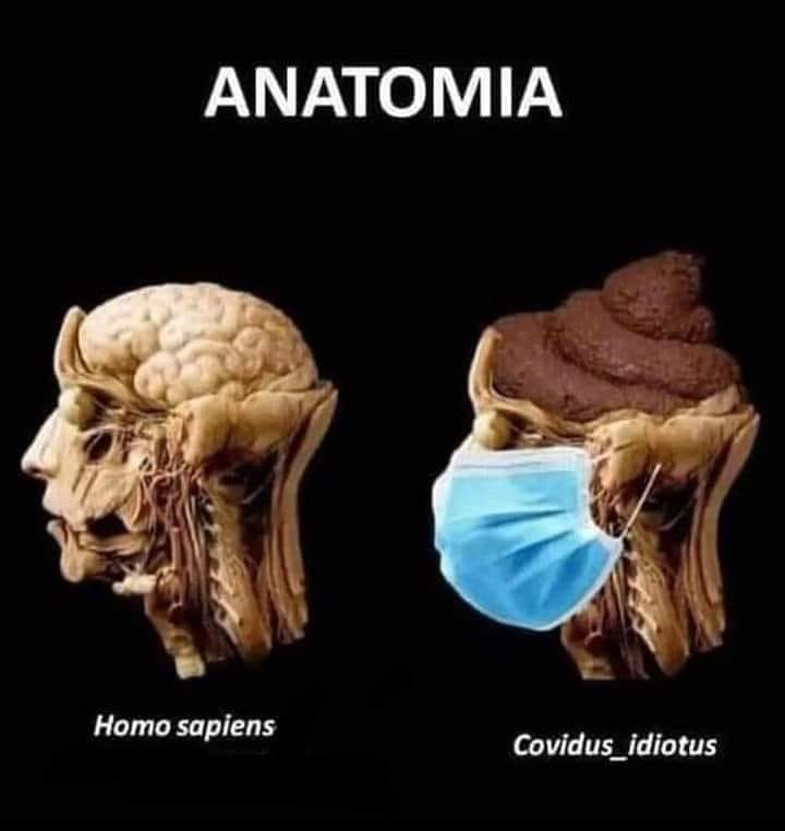 270380796_4703948393021848_6166562985895649009_n