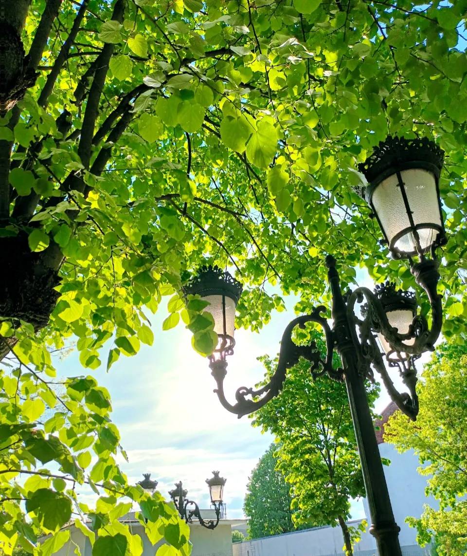 0056c102-9c00-4dc7-939c-28c933ad69e0