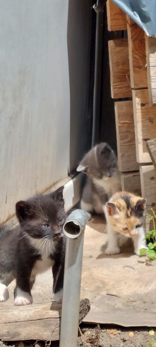 a42402d4-7177-471d-87f5-646edc4d53f5