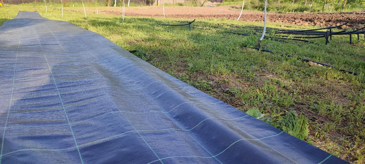 1d6e348f-779d-4375-953f-549bb1bbbad4