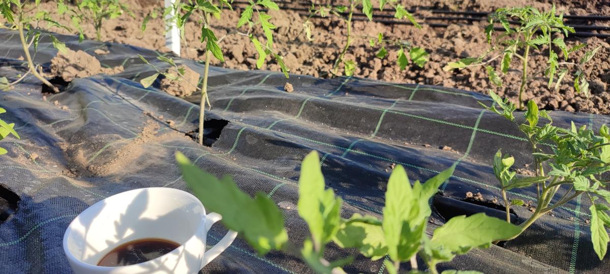 c05ae98a-3ee0-41f7-b5d1-1bda5c4ad2a3