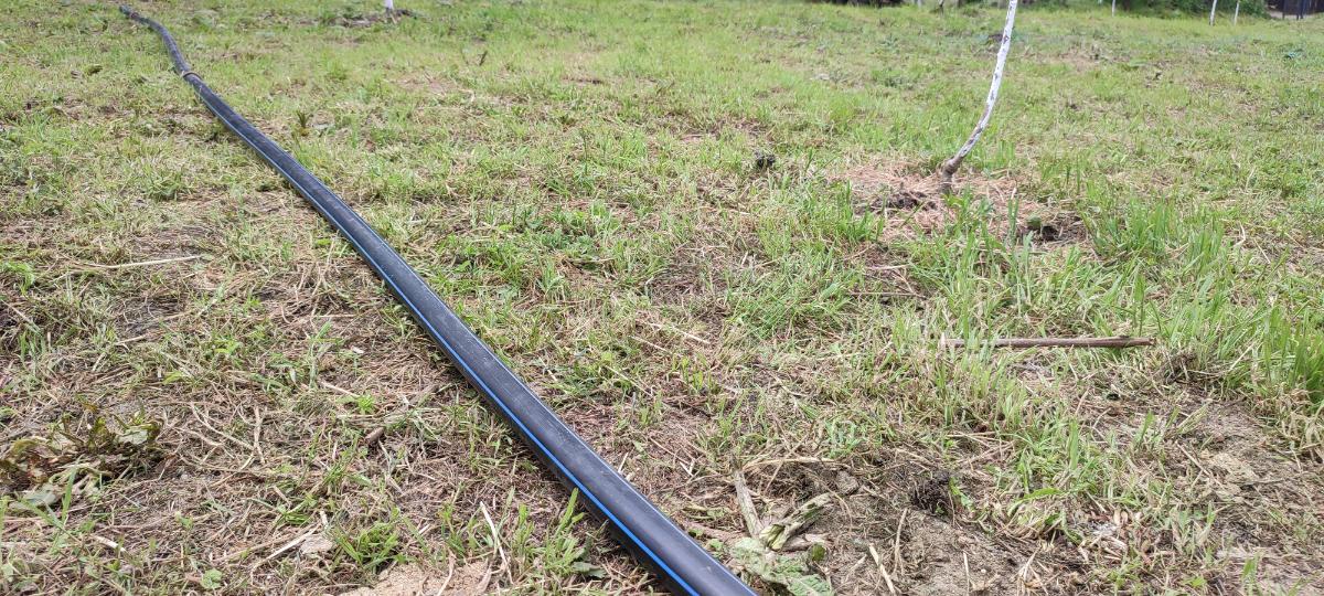 cceff2d2-19e6-4dbd-a0a3-f8aafc753ccb