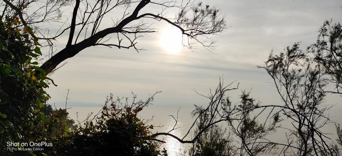 05d65516-970d-4e87-810b-ccc8c5f825a5