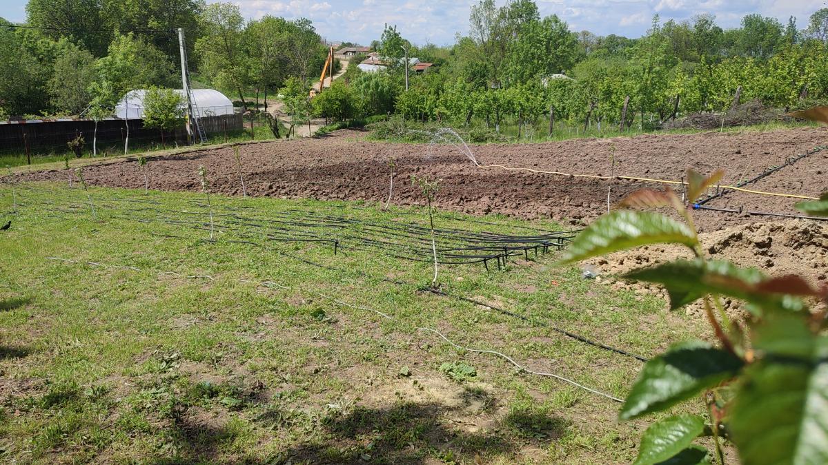 804cfabb-3f42-4967-bbe7-88c6fab299df