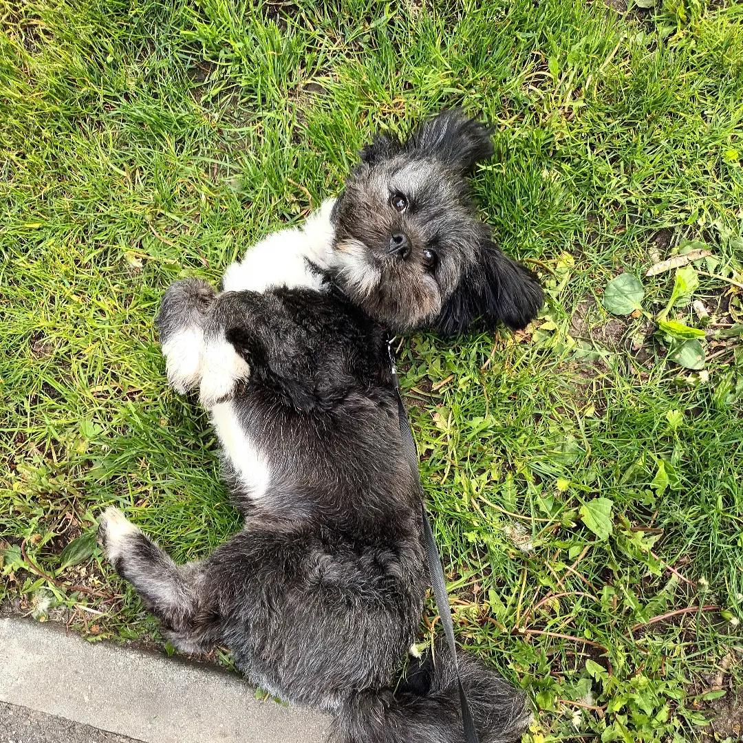 66f17dbe-65c8-4c1d-bdb8-9eda95c2e0e8