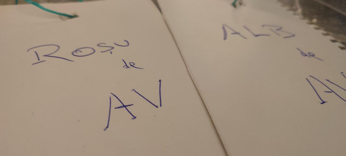 df53dbec-8a76-4420-8a13-4f43398cf50f