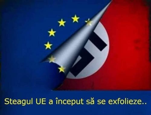 d161da0460fc3c7dc1e9cf60478e1618_500