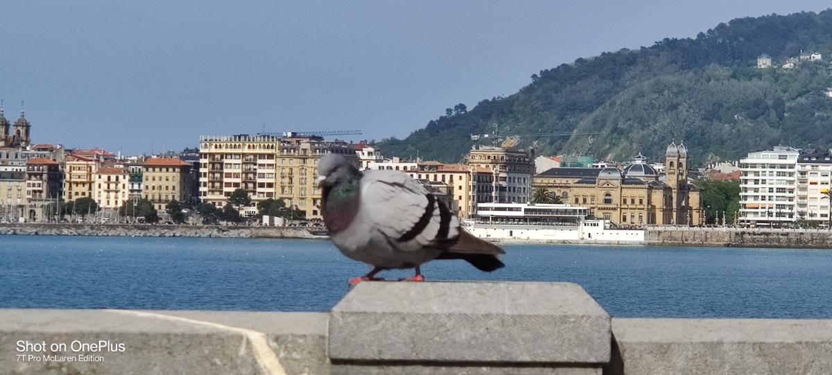 aa698ed0-1b25-423a-b1e8-b1f19875f1c8