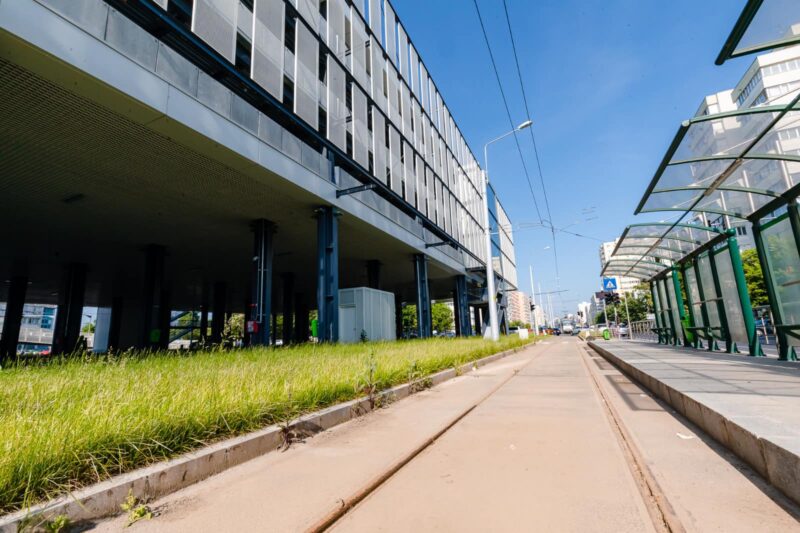 Terminal-Pantelimon-800x533