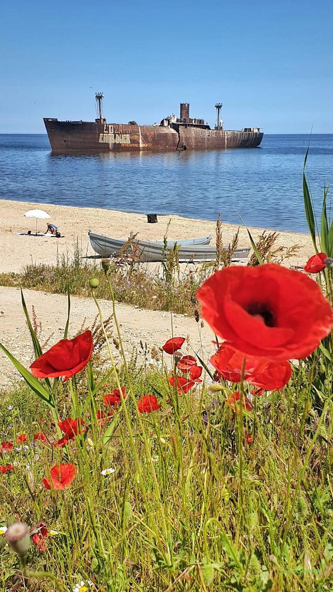 73eca363-b31e-4b29-a054-c493c3ac64ba