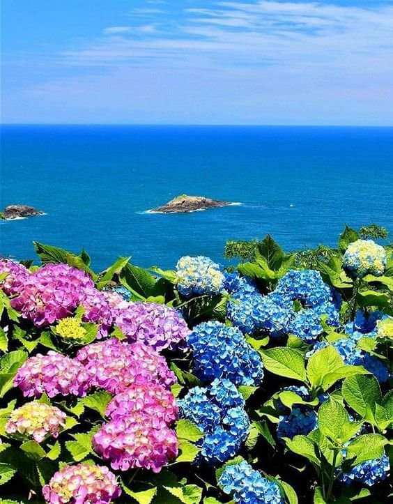 c3bb0a57-edbd-4a6f-9482-d05e8692c267