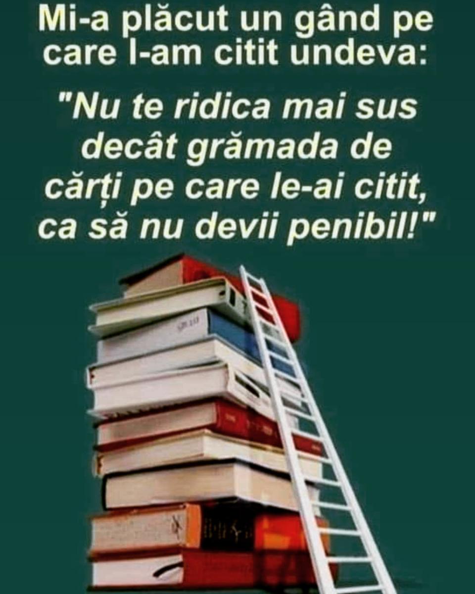 8c9d227a-4bb5-4ce0-92db-e07102b1187b