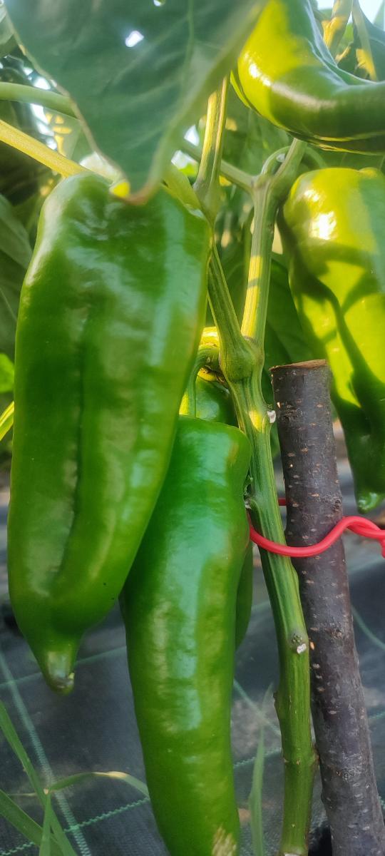 94ac3664-ea8f-49af-8be0-c002d2b65fc3