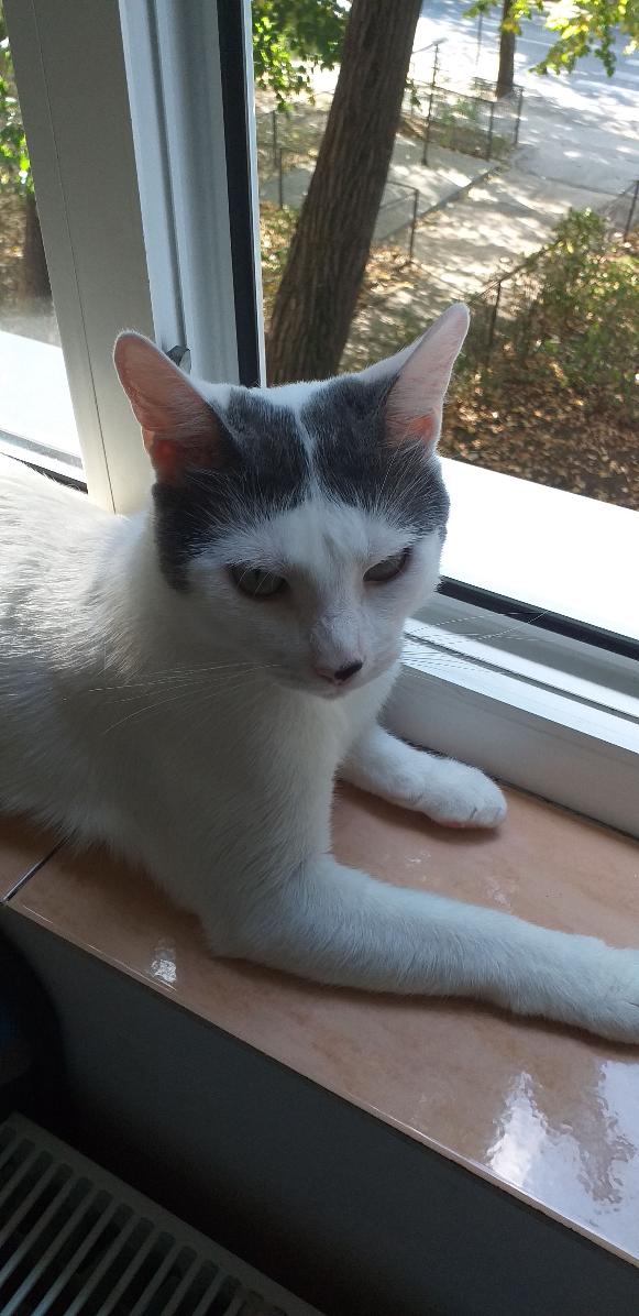 1303ad02-a0b4-4709-a2c6-232ee5edd9a4