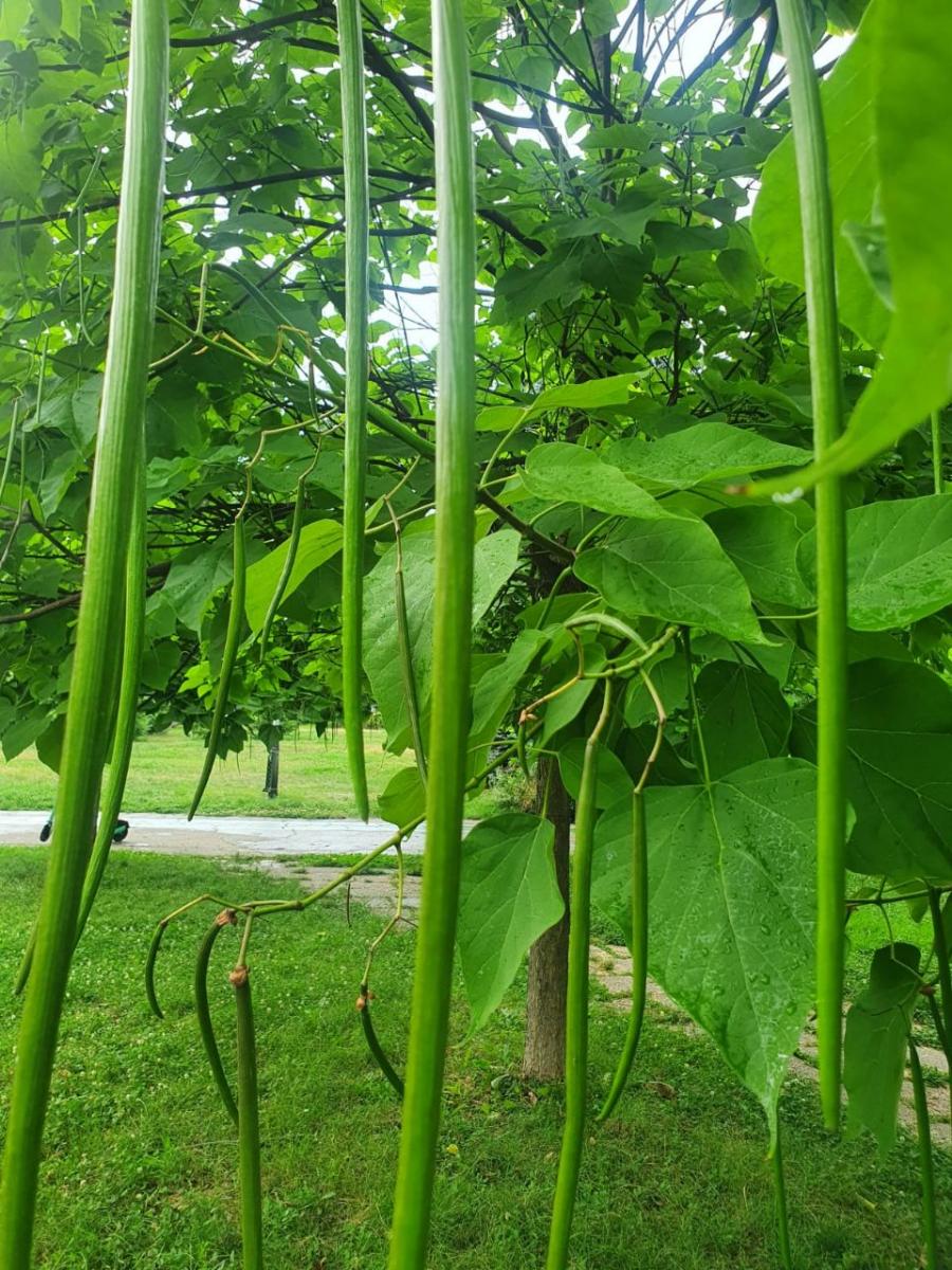 698e4a75-39d7-4009-bbfc-10c7961d7034