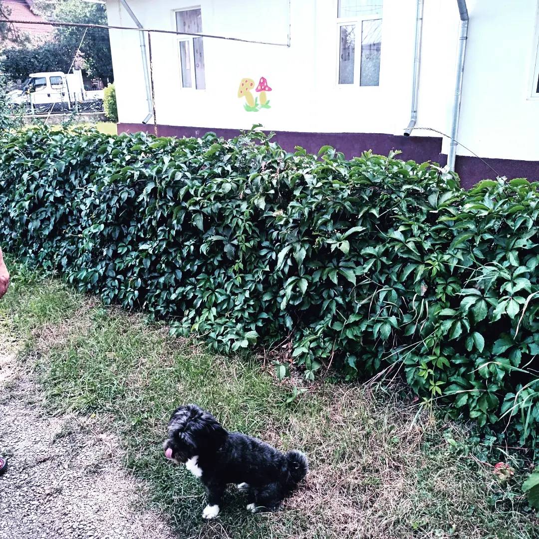 f0b6145f-ee51-49cf-a9f4-69d80d53bf6a