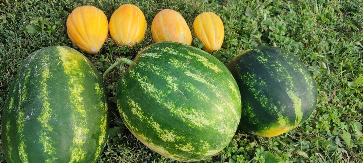 67529f33-ac57-4cfc-bd42-e32bb4315fe8