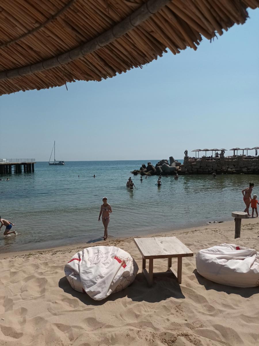 c9af8514-65eb-48af-bb88-fa0b39308ea9