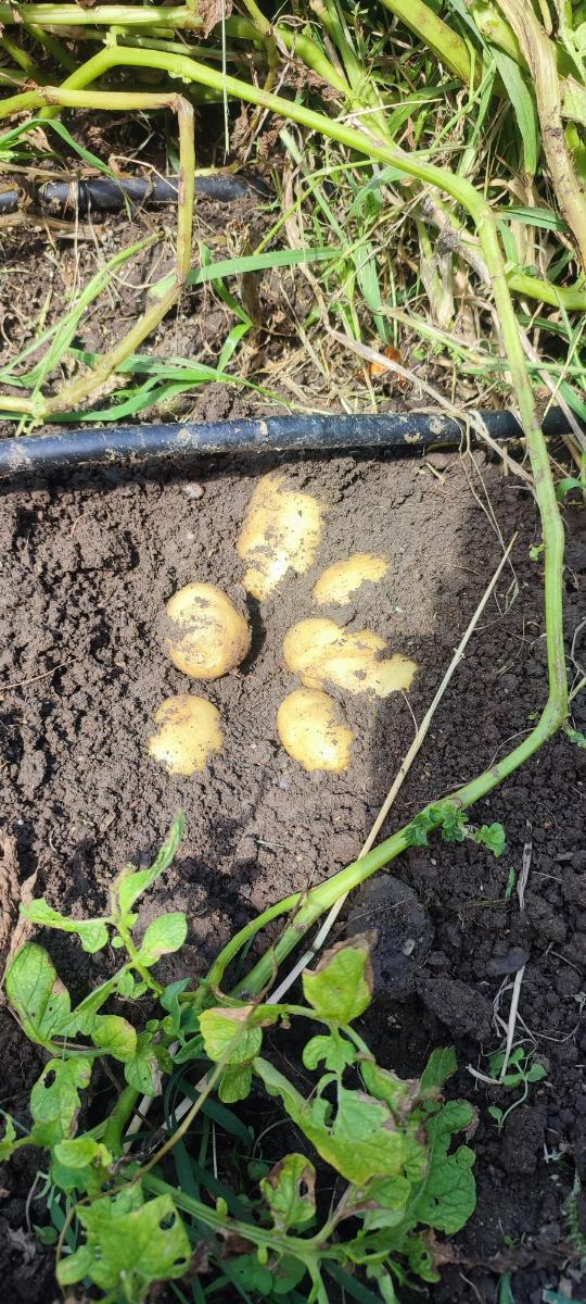 db7d838c-6f31-4772-ad9a-070a93594e25