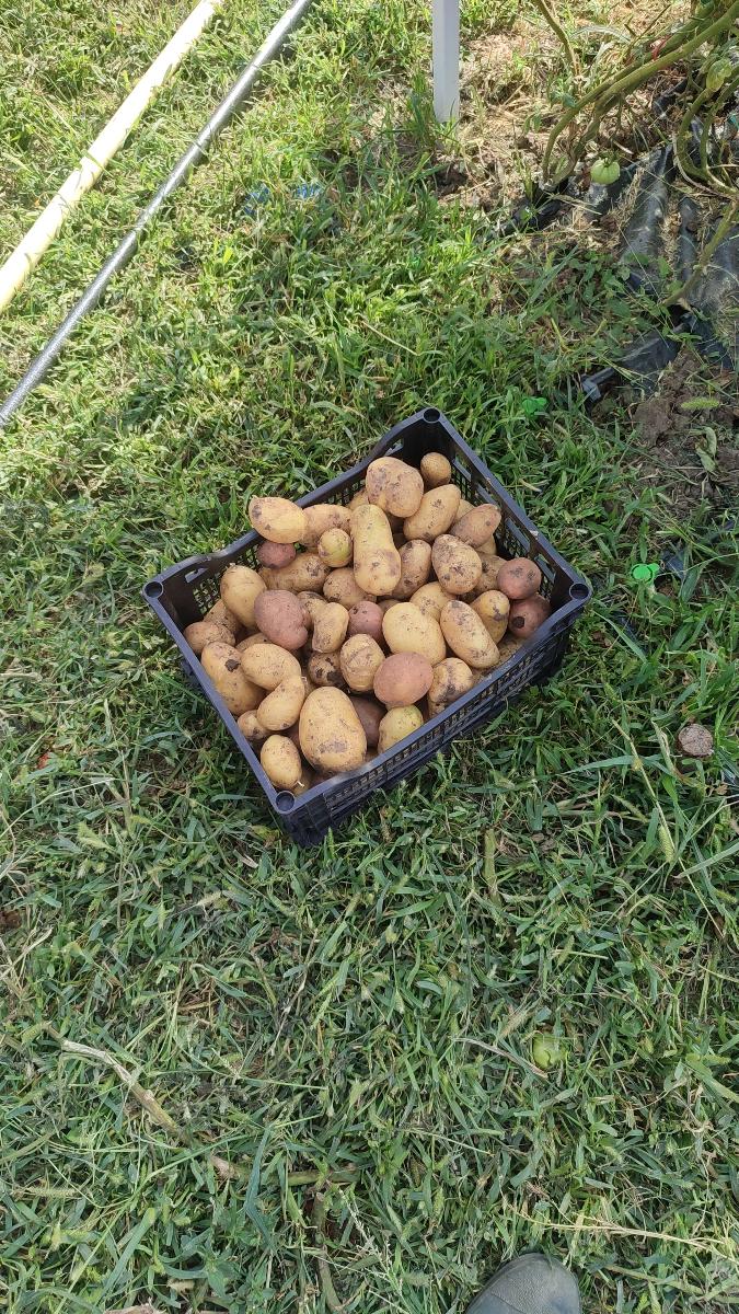 bd8dfa00-d959-4bd3-8c7f-d1e1ab789736