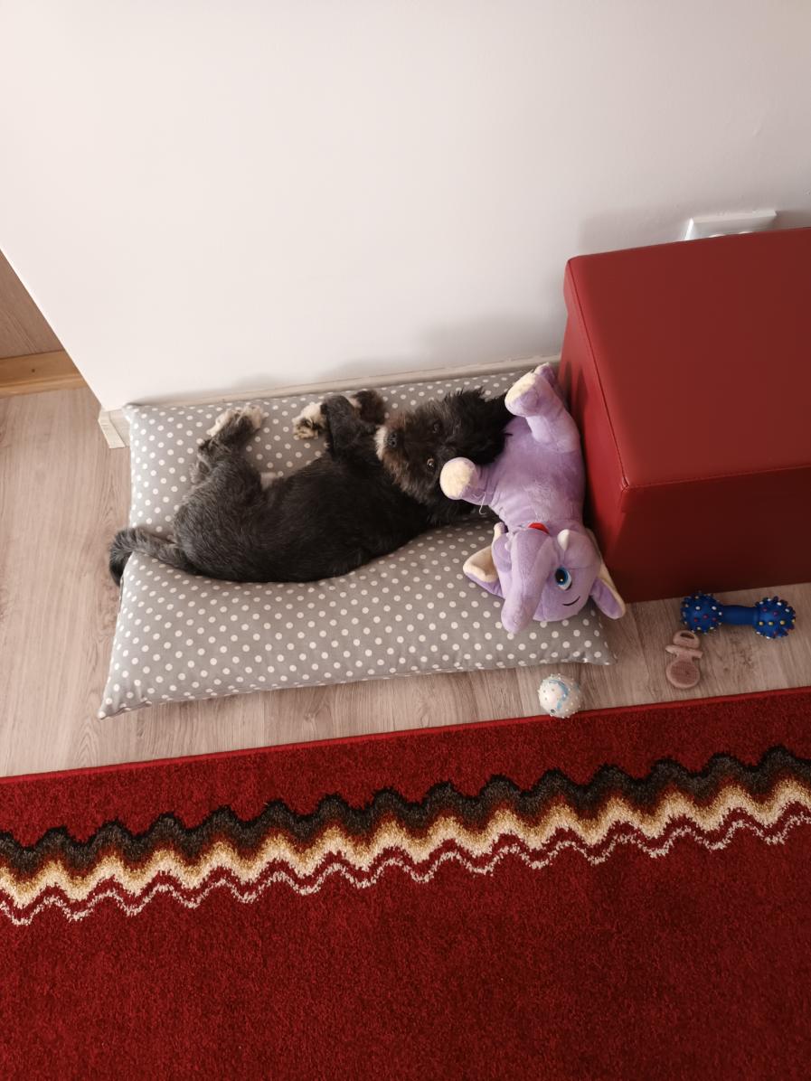 d21930f2-9f31-4f53-b951-e5140f728e5f